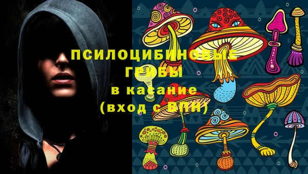 молекула духа Алексеевка