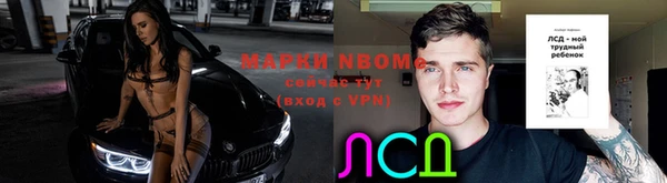 амф Алексин