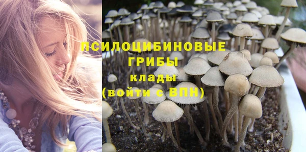амф Алексин