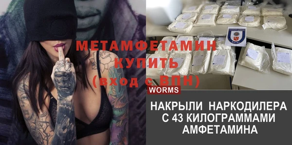 амф Алексин