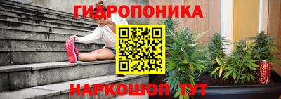 apvp Дубна
