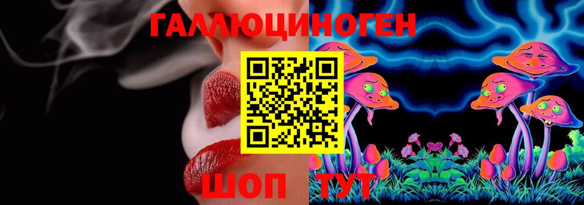 купить   Галлюциногенные грибы Magic Shrooms  Вход с VPN  Лесосибирск 